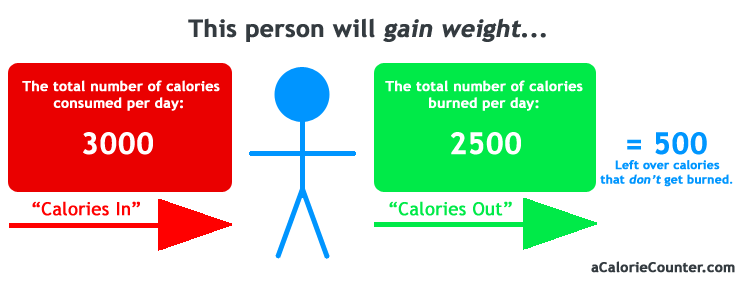 Weight Loss Chart Calories Per Day